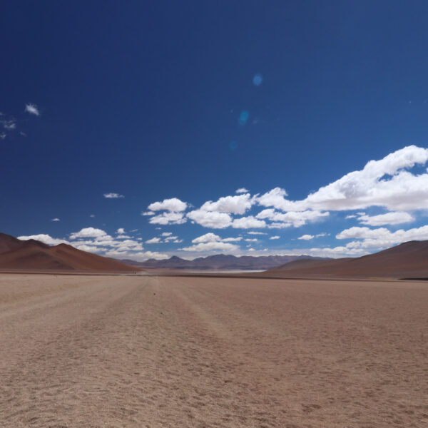 Desierto de Dalí - Potosí Department - Bolivia