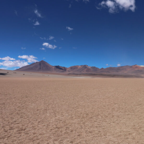 Desierto de Dalí - Potosí Department - Bolivia