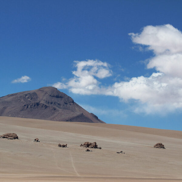 Desierto de Dalí - Potosí Department - Bolivia