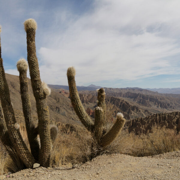 El Sillar - Potosí Department - Bolivia