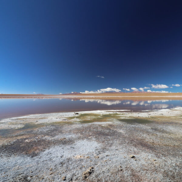 Laguna Hedionda Sur - Potosí Department - Bolivia