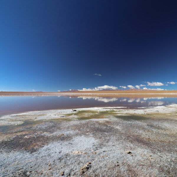 Laguna Hedionda Sur - Potosí Department - Bolivia