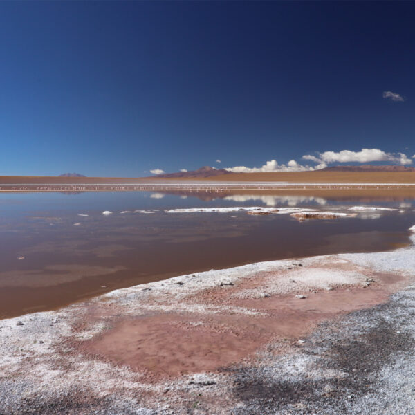 Laguna Hedionda Sur - Potosí Department - Bolivia