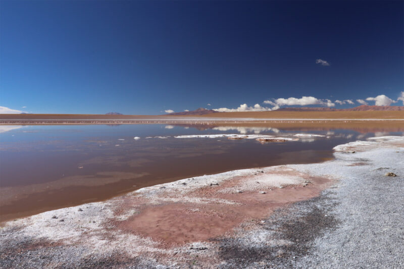 Laguna Hedionda Sur - Potosí Department - Bolivia