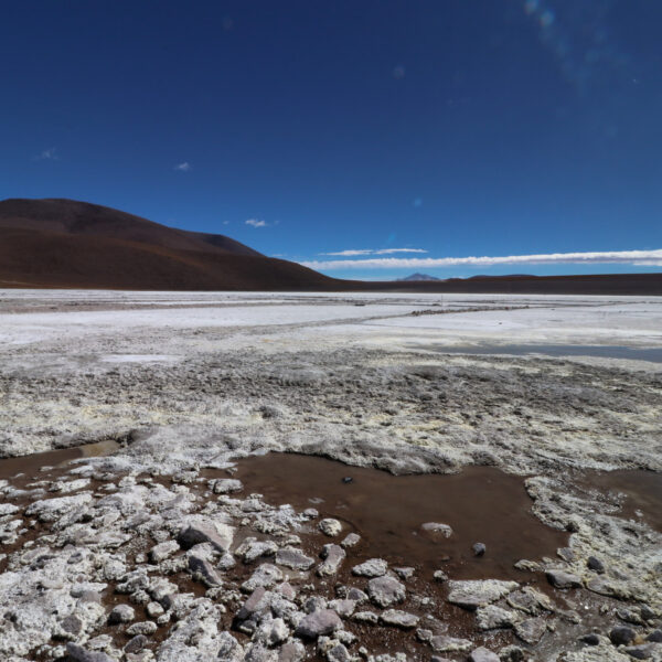 Laguna Kollpa - Potosí Department - Bolivia