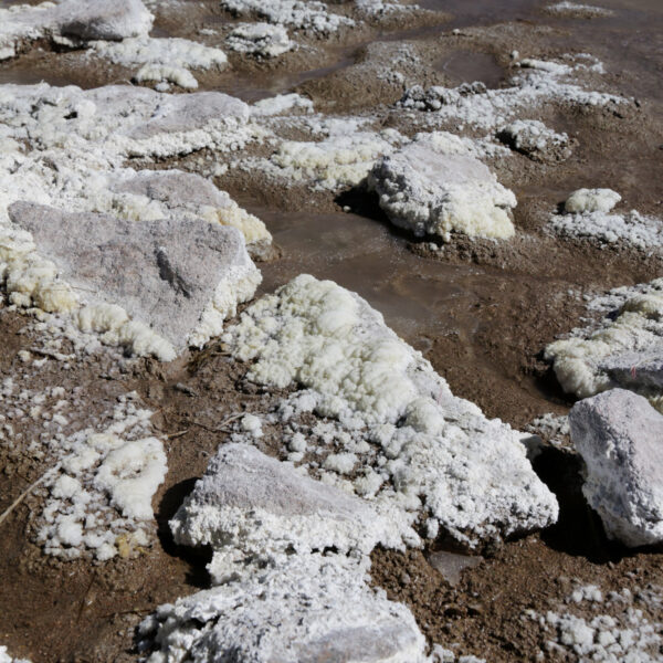 Laguna Kollpa - Potosí Department - Bolivia