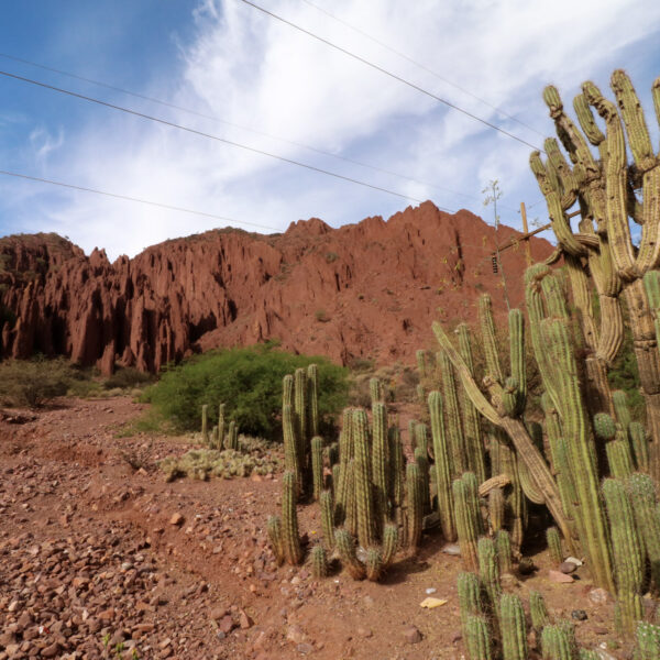 Quebrada de Palala - Potosí Department - Bolivia