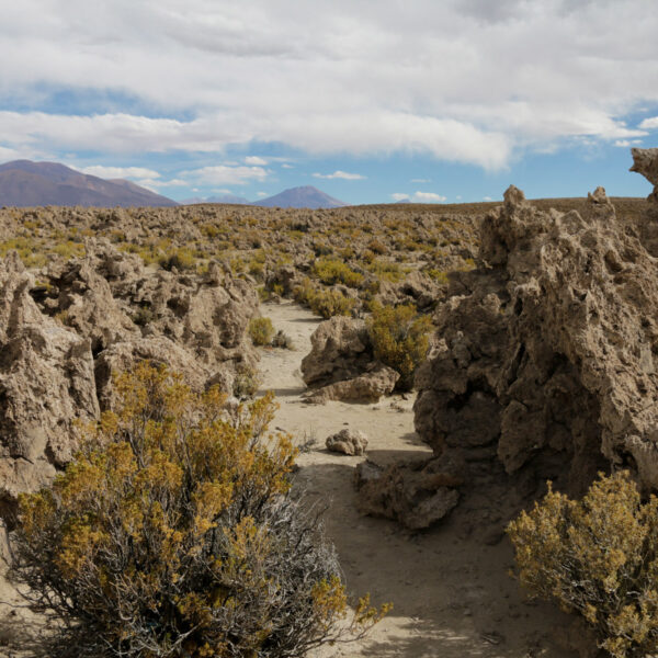 Rocas Colores - Potosí Department - Bolivia