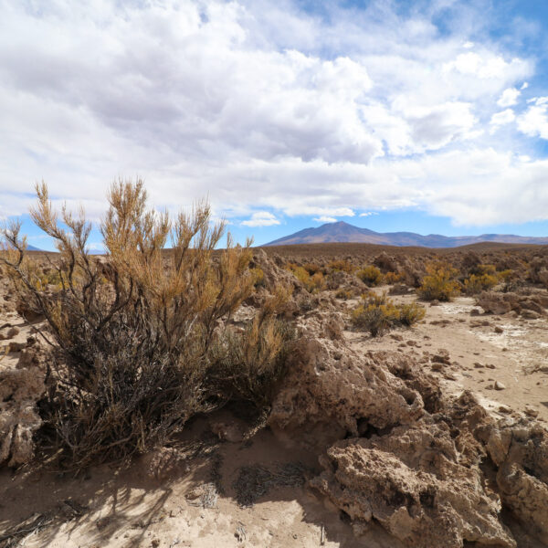 Rocas Colores - Potosí Department - Bolivia