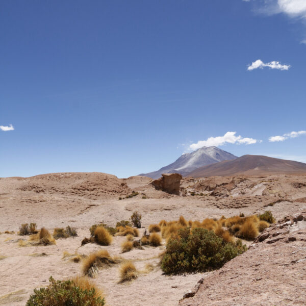Volcán Ollagüe- Potosí Department - Bolivia