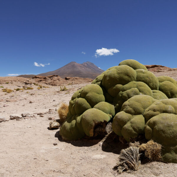 Volcán Ollagüe- Potosí Department - Bolivia