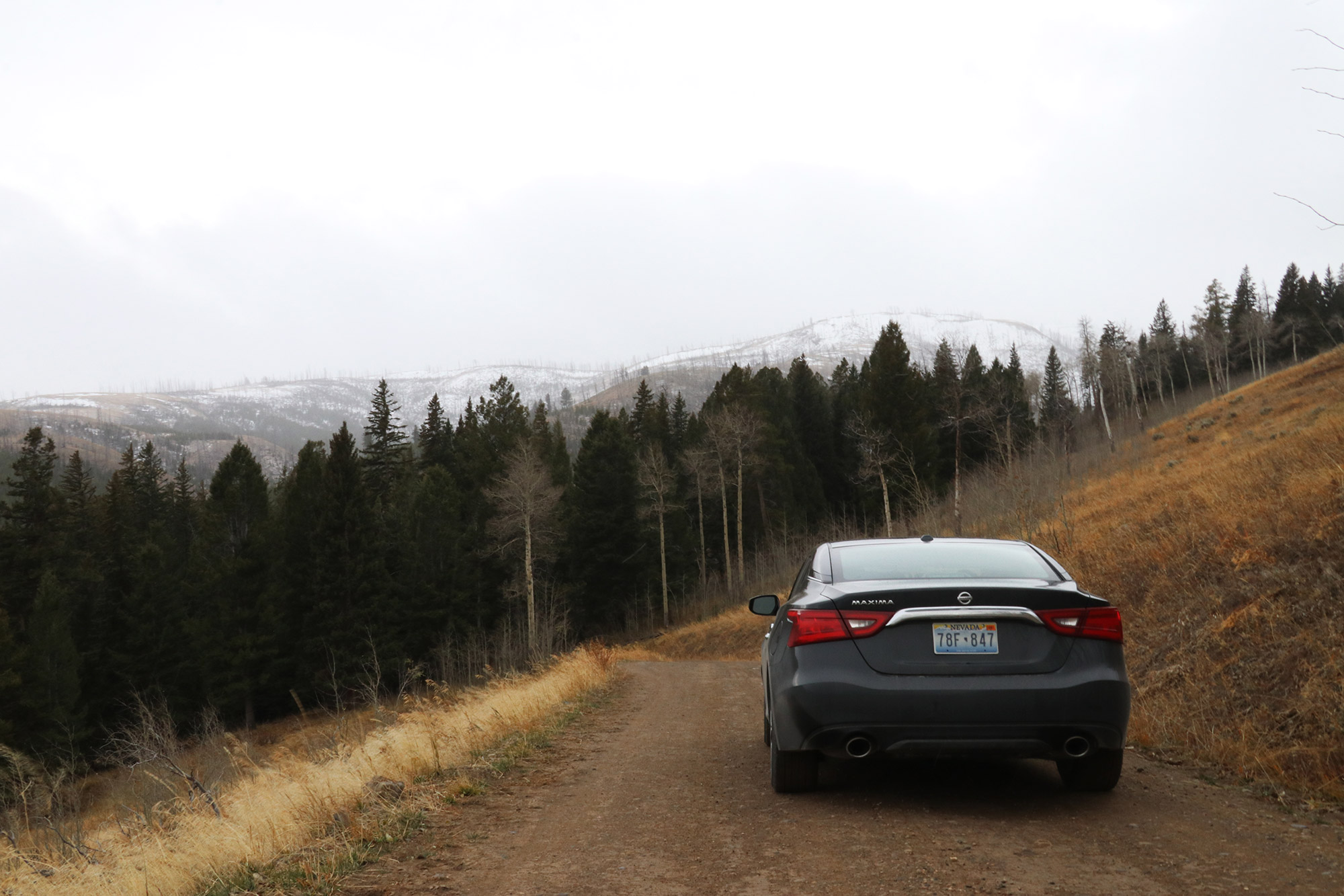 Amerika dag 4 - Yellowstone National Park - Blacktail Plateau Drive