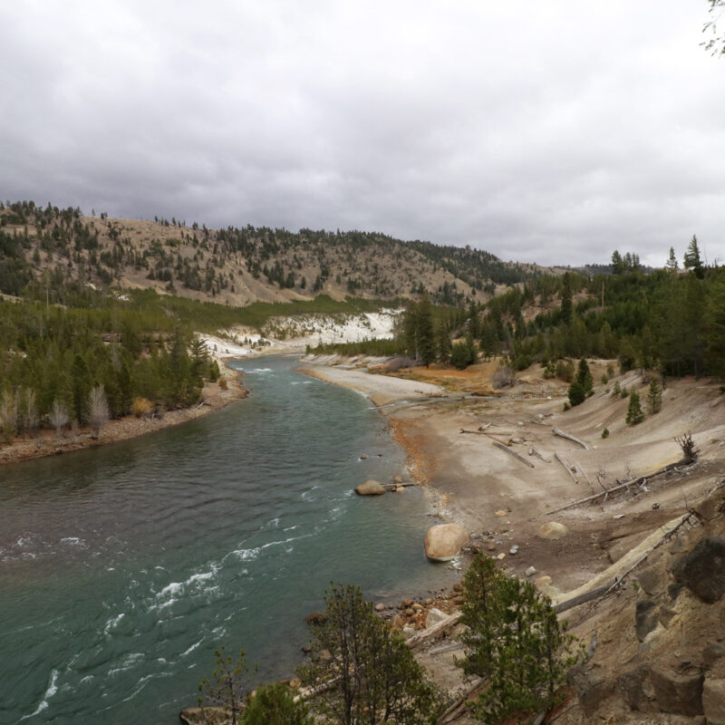 Reisverslag Amerika #4: Op zoek naar wildlife in Lamar Valley