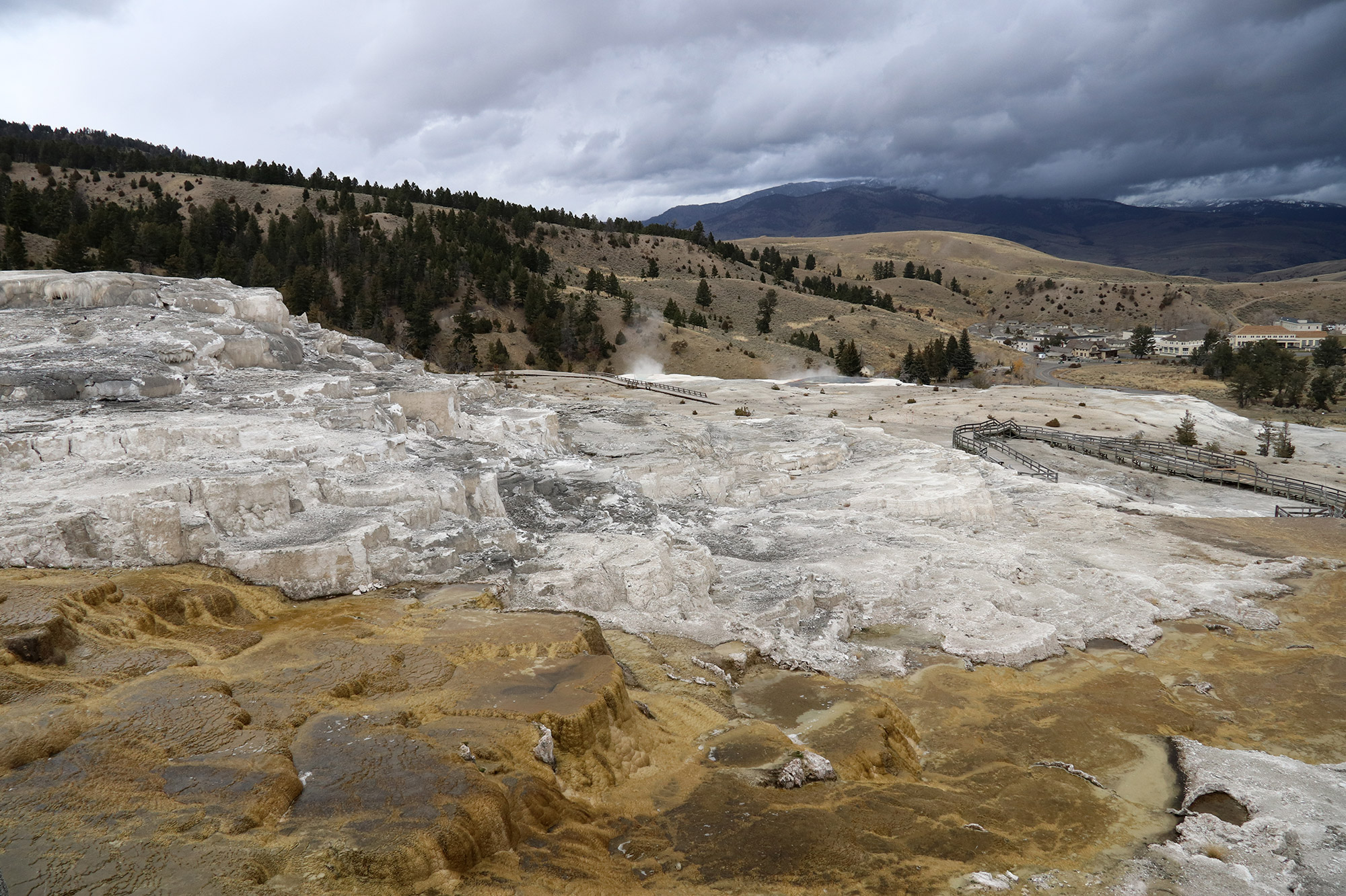 Amerika dag 4 - Yellowstone National Park - Mammoth Hot Springs - Lower Terrace