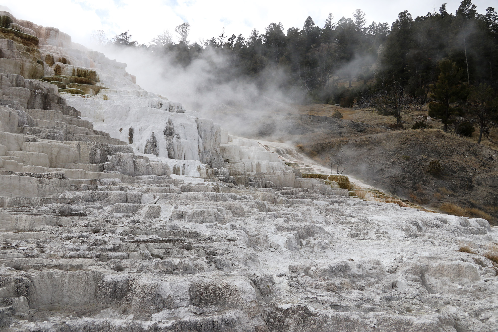 Amerika dag 4 - Yellowstone National Park - Mammoth Hot Springs - Palette Spring