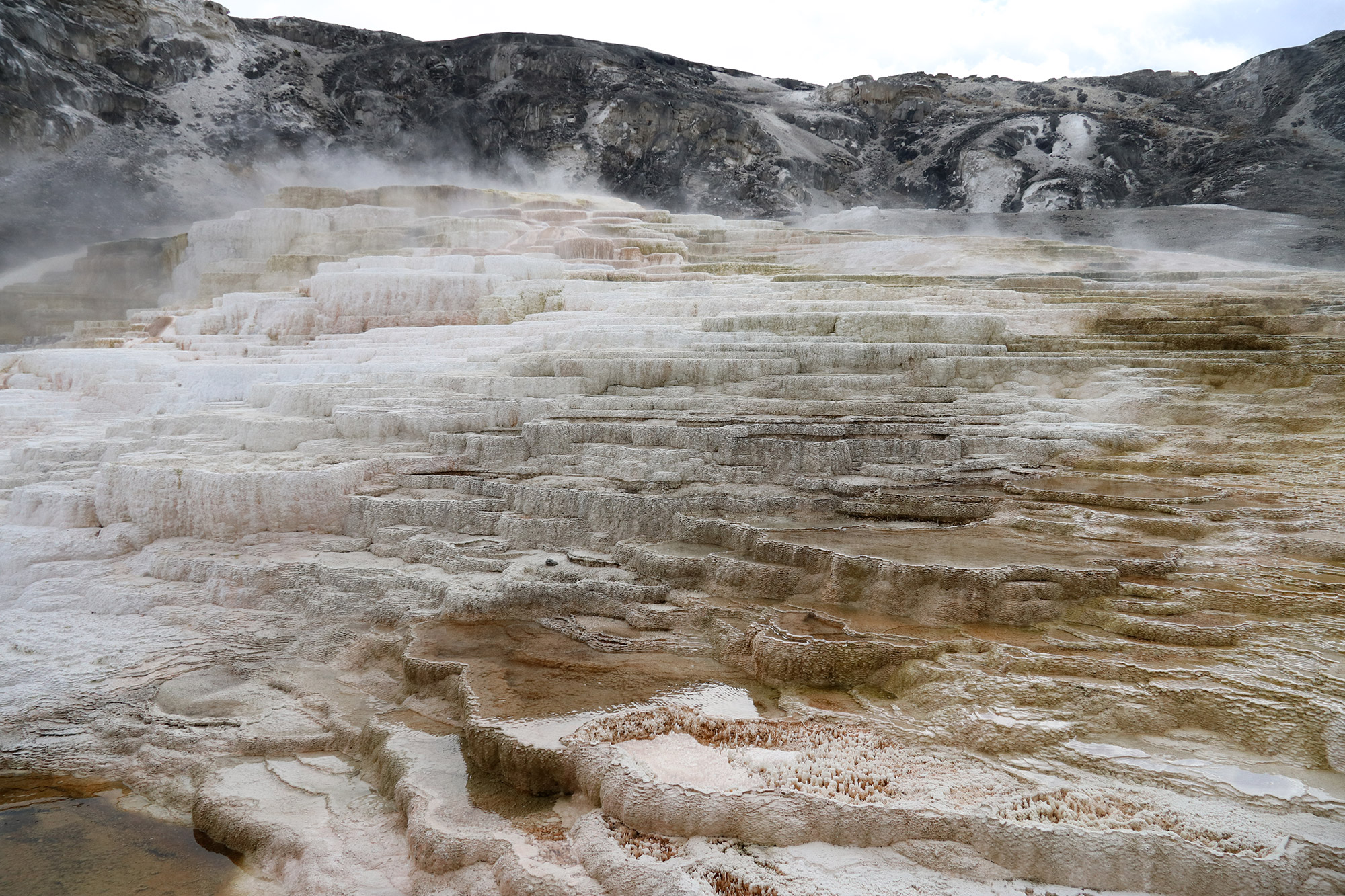 Amerika dag 4 - Yellowstone National Park - Mammoth Hot Springs - Minerva Terrace