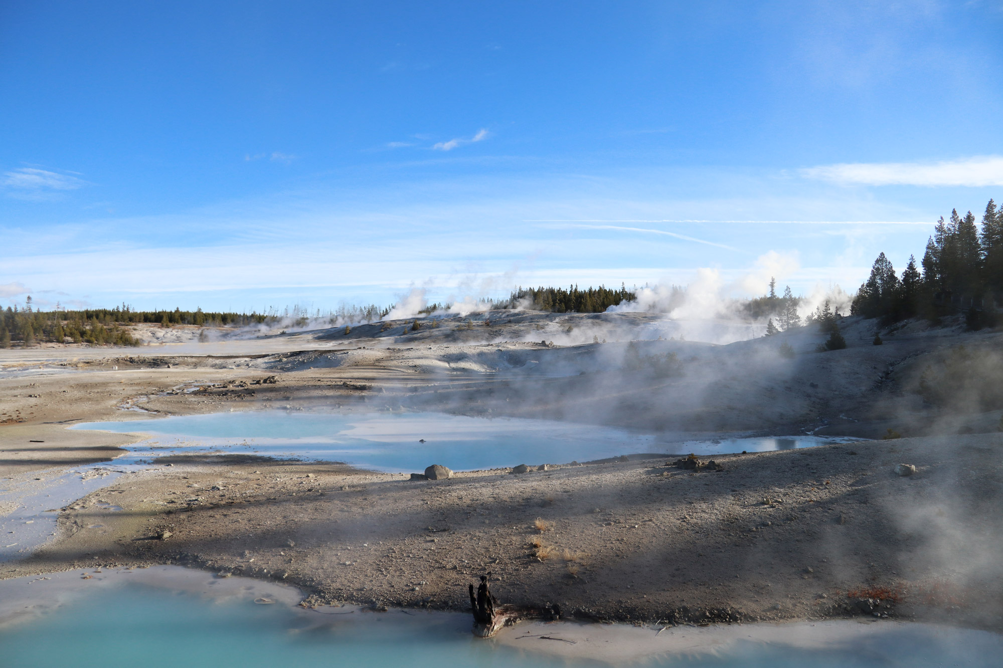 Amerika dag 5 - Yellowstone National Park - Norris Geyser Basin - Porcelain Spring