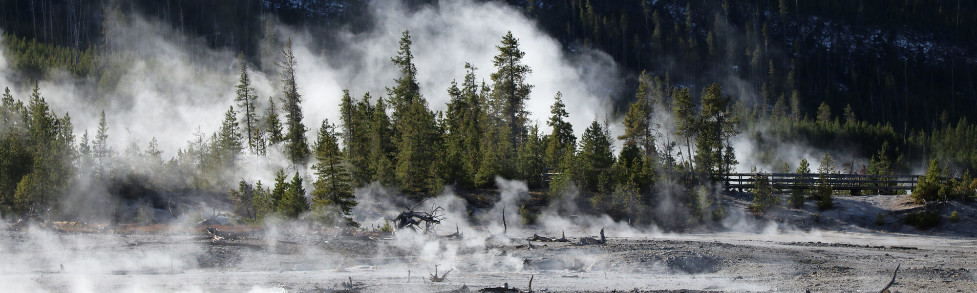 Amerika dag 5 - Yellowstone National Park - Norris Geyser Basin