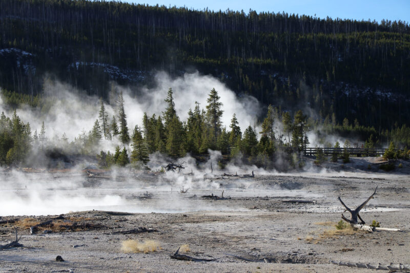 Amerika dag 5 - Yellowstone National Park - Norris Geyser Basin