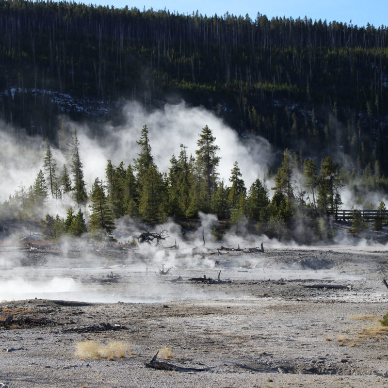Reisverslag Amerika #5: We verlaten Yellowstone