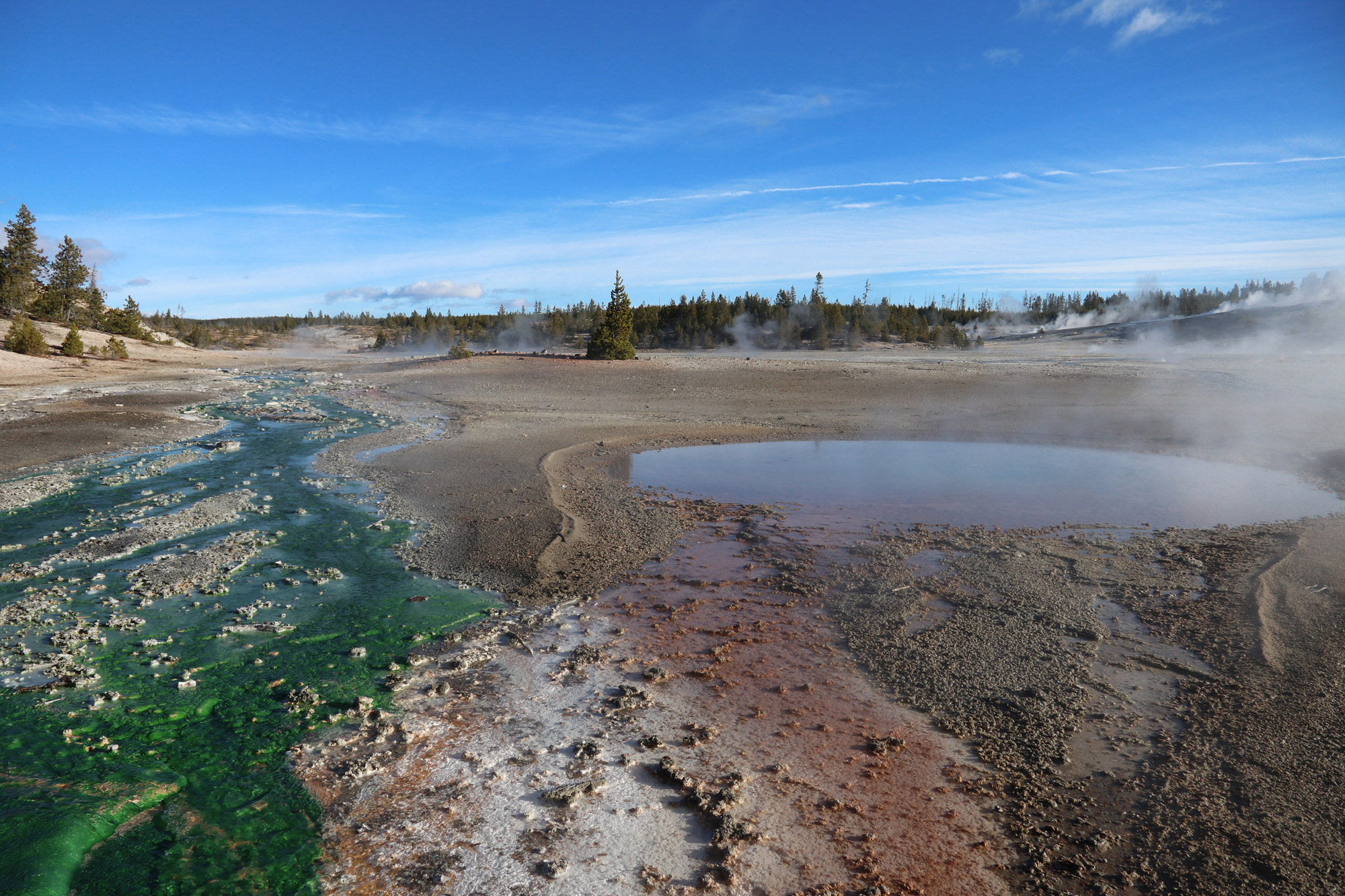 Amerika dag 5 - Yellowstone National Park - Norris Geyser Basin - Living Thermometer