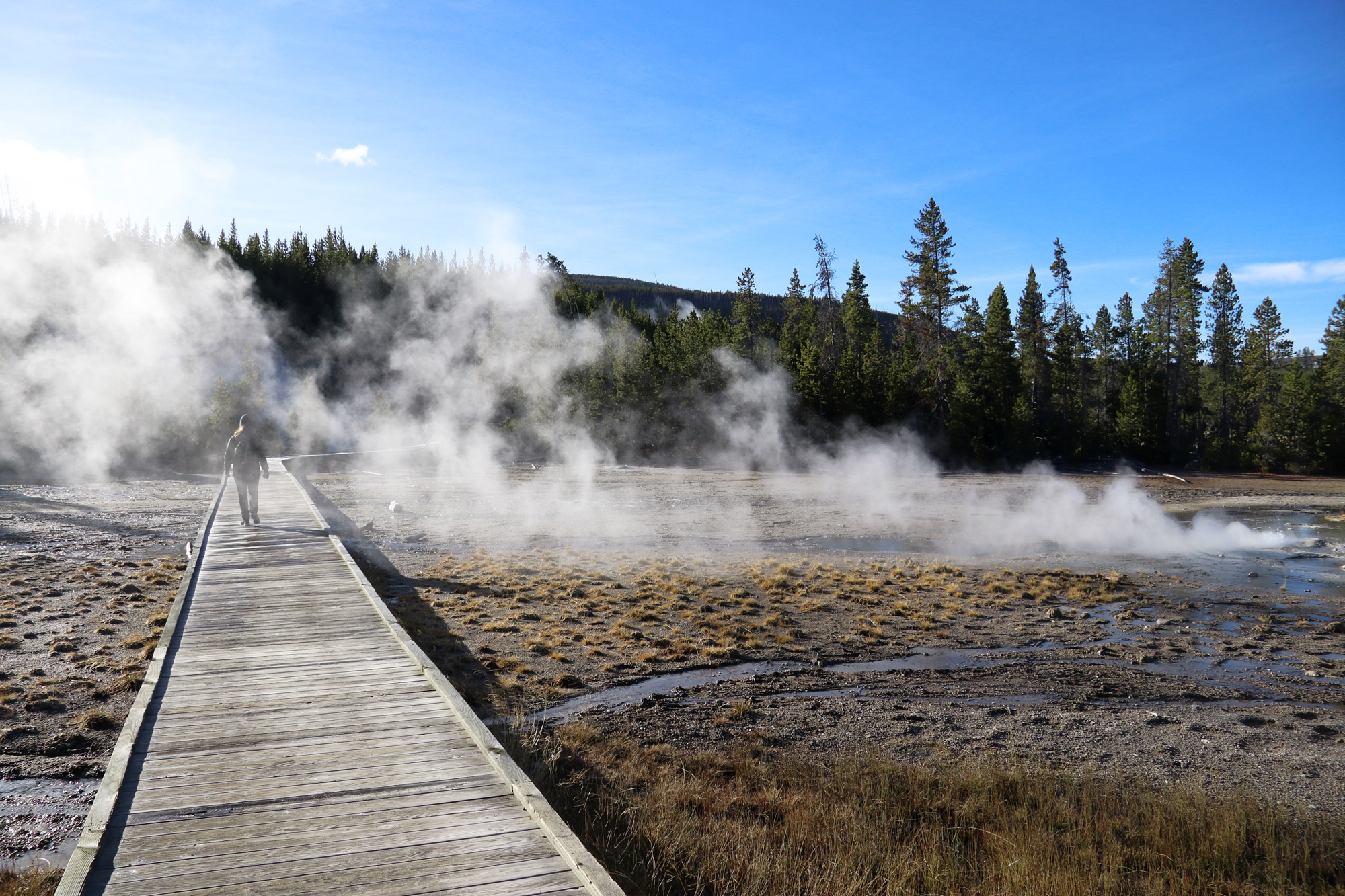 Amerika dag 5 - Yellowstone National Park - Norris Geyser Basin