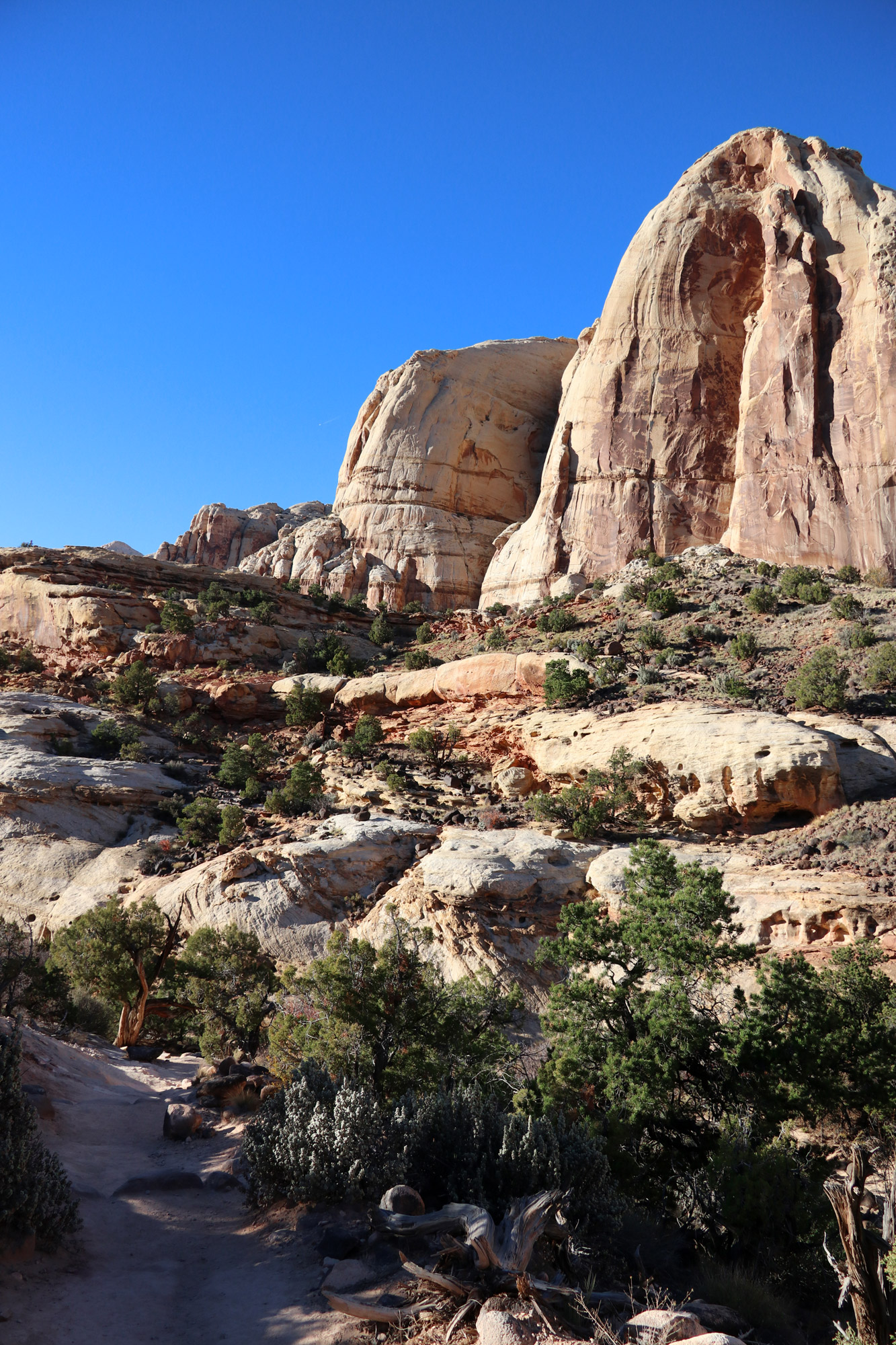 Amerika dag 6 - Capitol Reef National Park - Hickman Bridge Trail