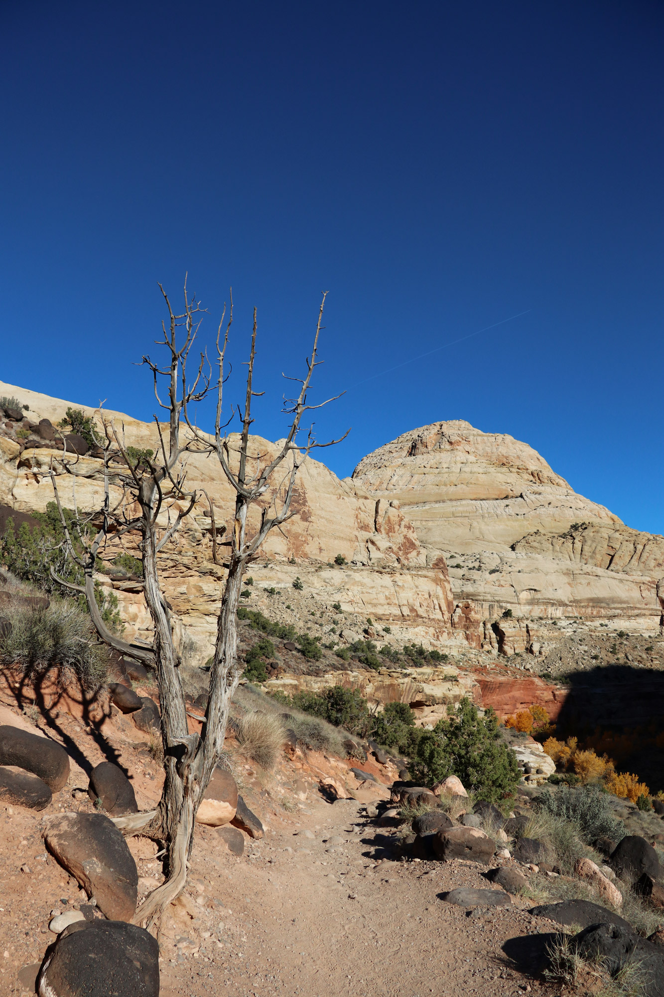 Amerika dag 6 - Capitol Reef National Park - Hickman Bridge Trail