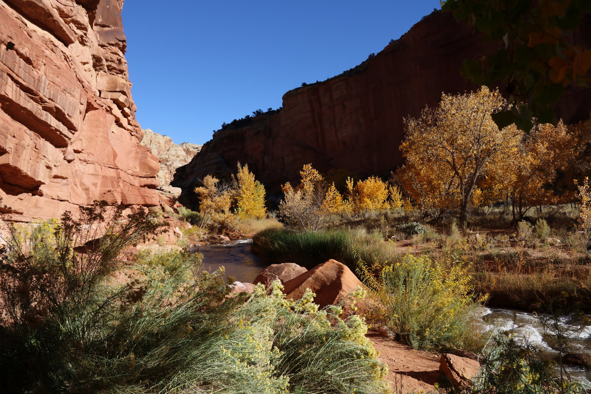 Amerika dag 6 - Capitol Reef National Park - Hickman Bridge Trail