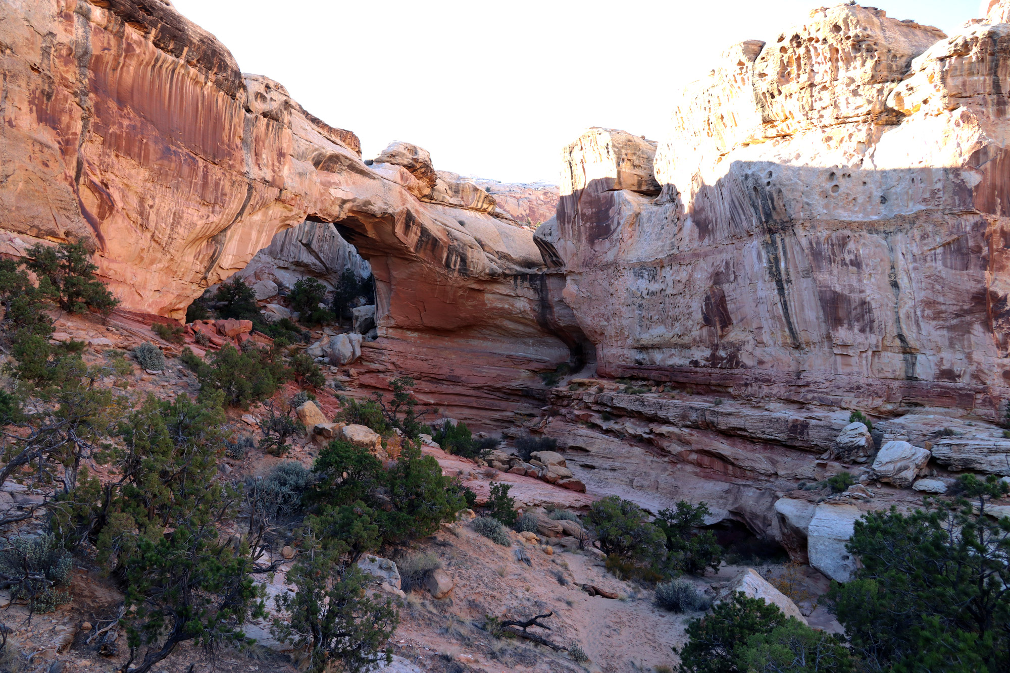 Amerika dag 6 - Capitol Reef National Park - Hickman Natural Bridge