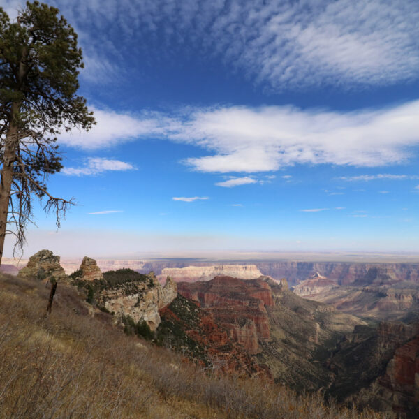 Verenigde Staten - Arizona