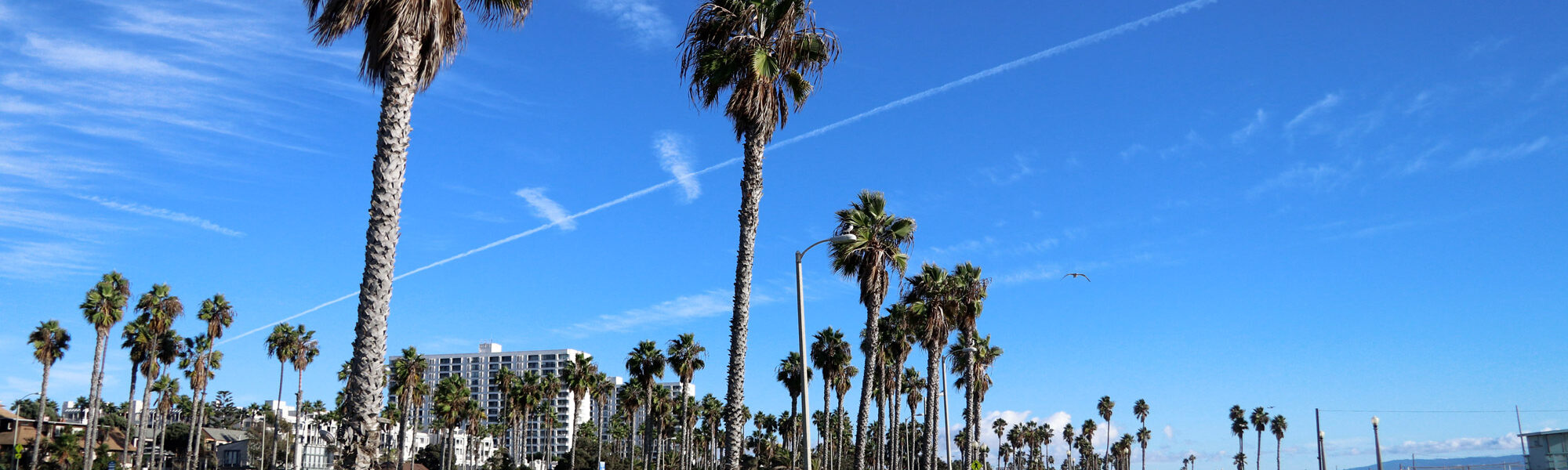 Verenigde Staten - Californië