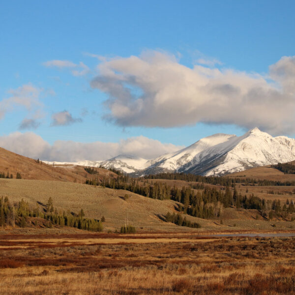 Verenigde Staten - Wyoming