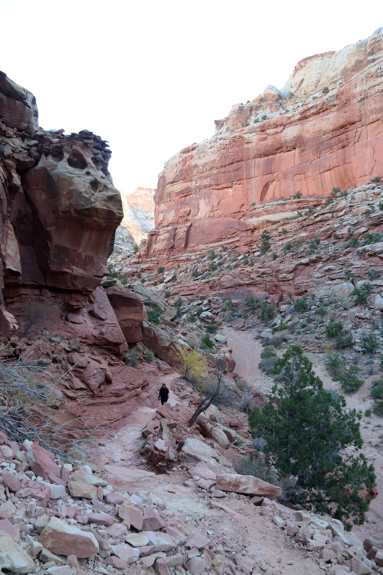 Amerika dag 7 - Capitol Reef National Park - Cassidy Arch Trail