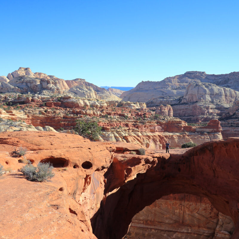 Amerika dag 7 - Capitol Reef National Park - Cassidy Arch Trail