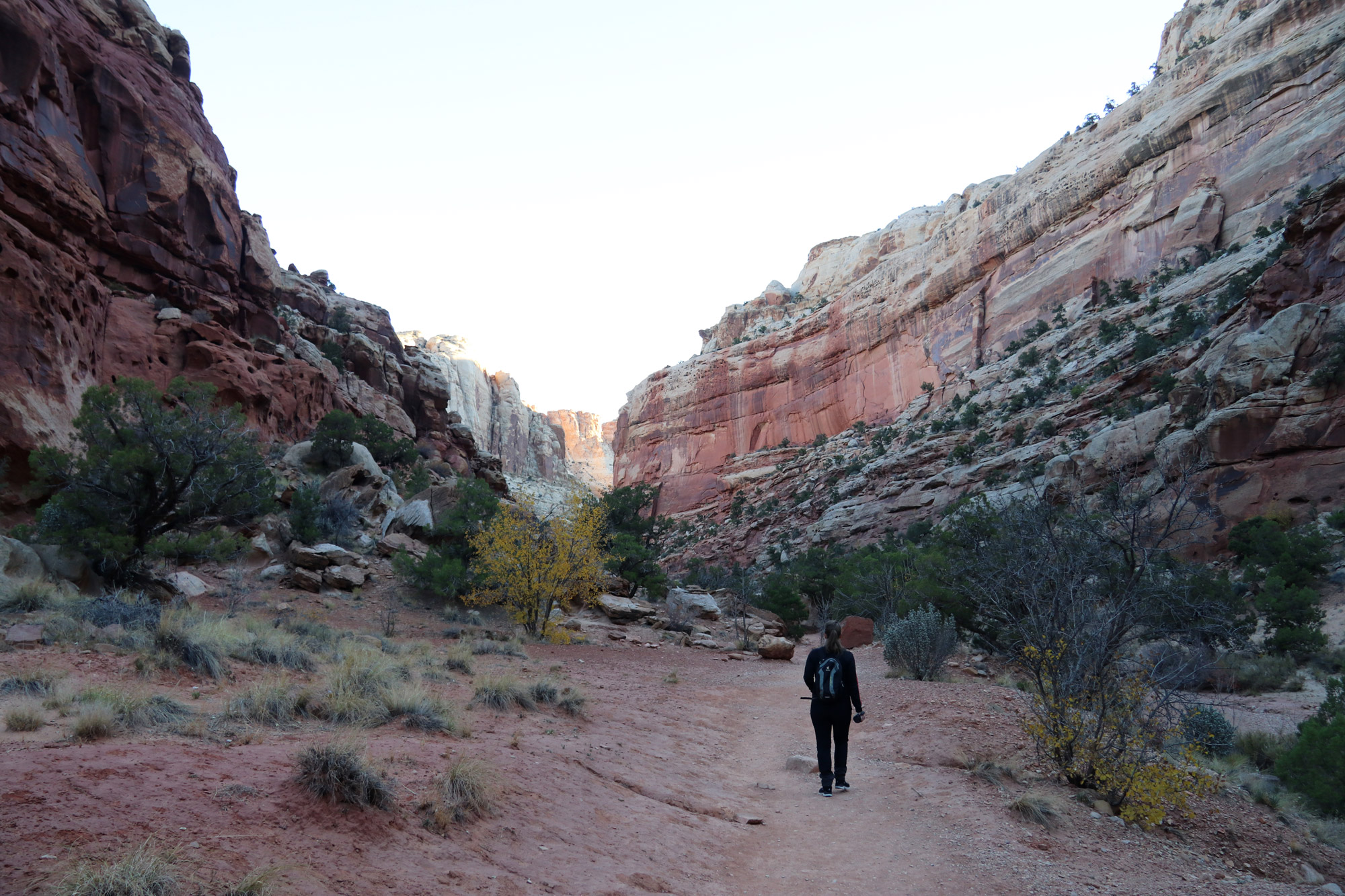 Amerika dag 7 - Capitol Reef National Park - Cassidy Arch Trail