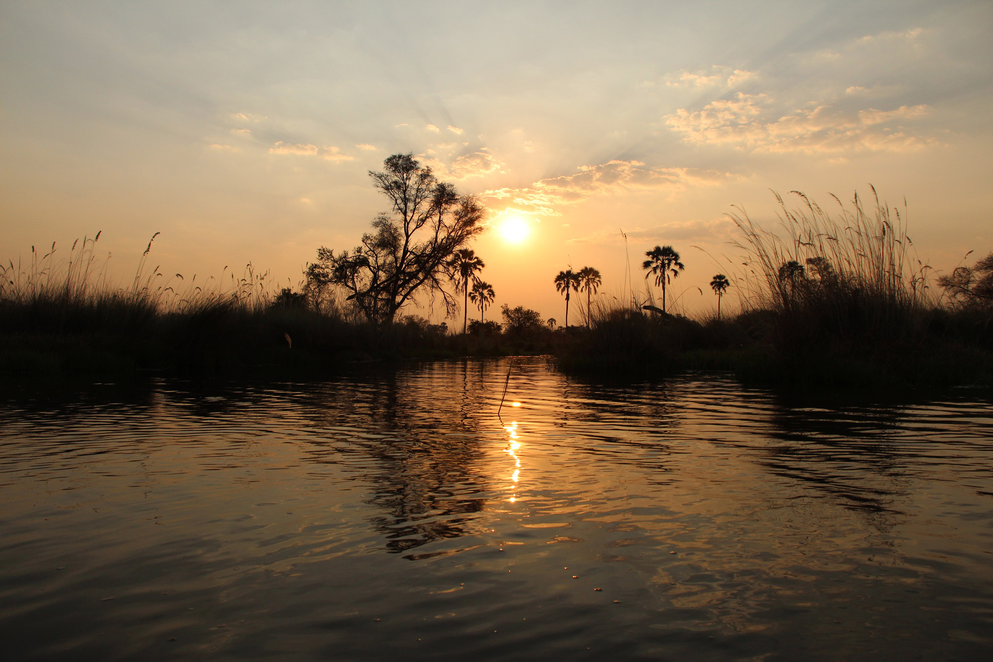 Botswana: Okavango Delta - Zonsondergang