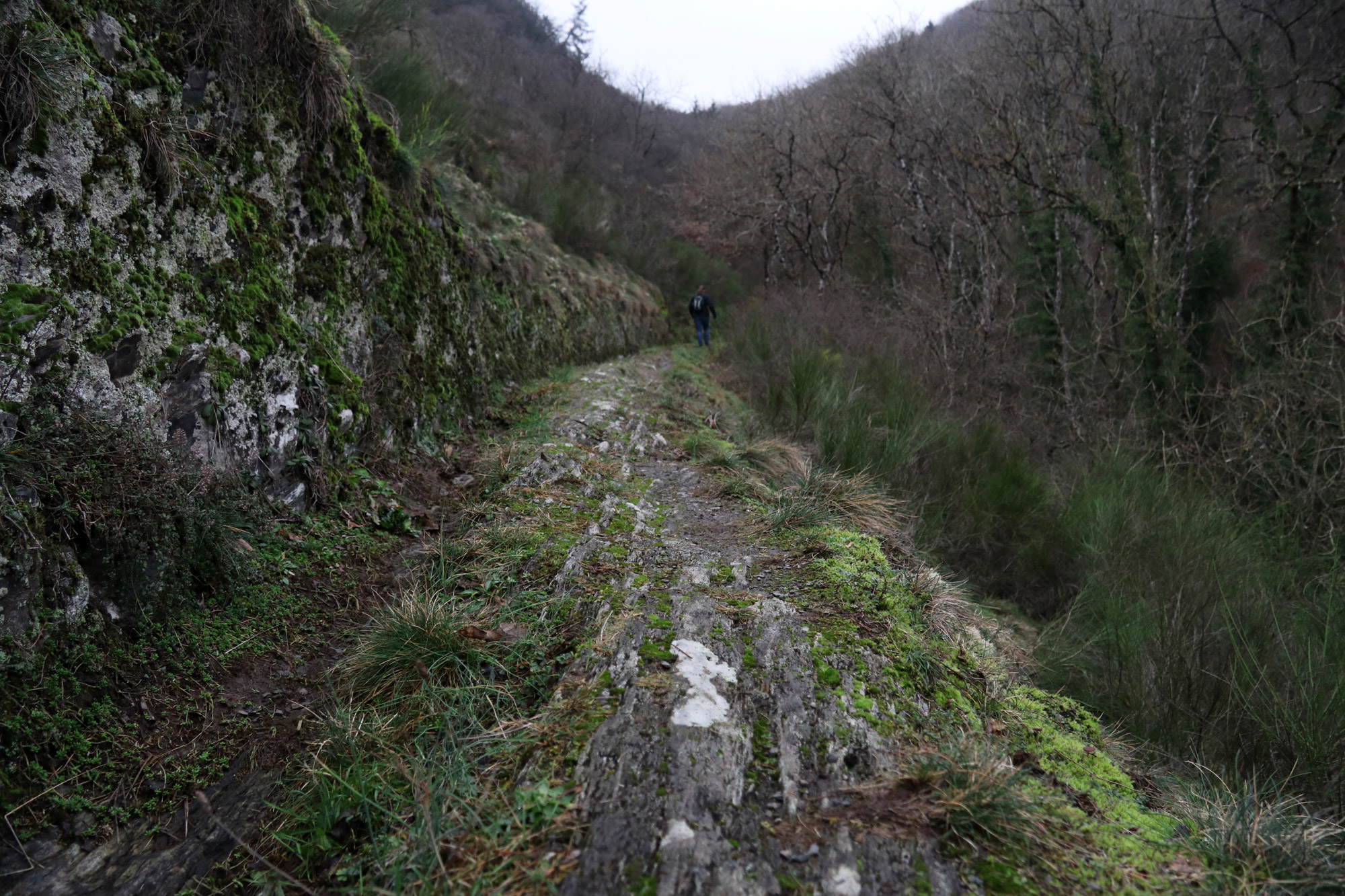 5x doen in Vianden - Maak een wandeltocht in de omgeving