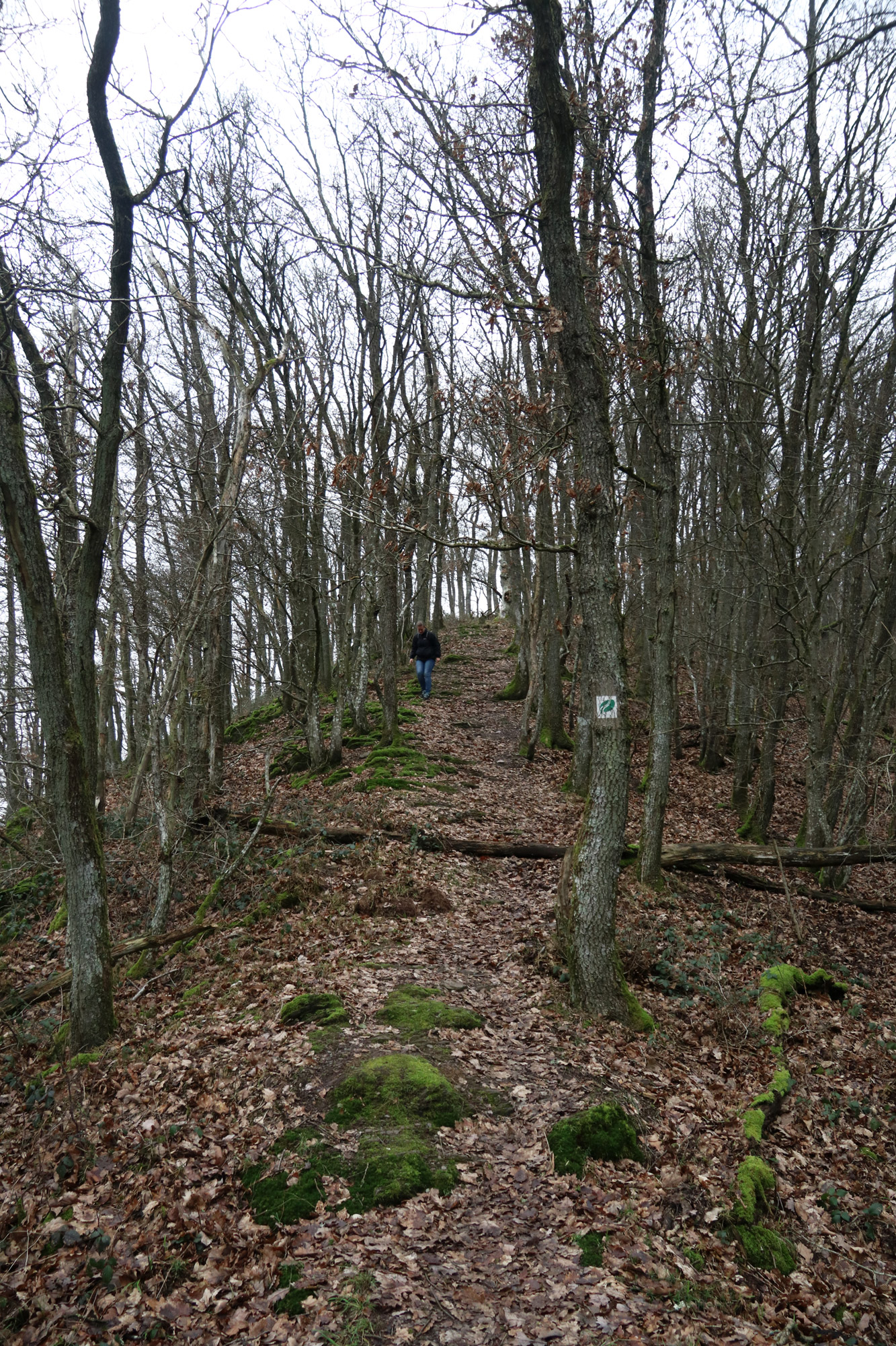 5x doen in Vianden - Maak een wandeltocht in de omgeving