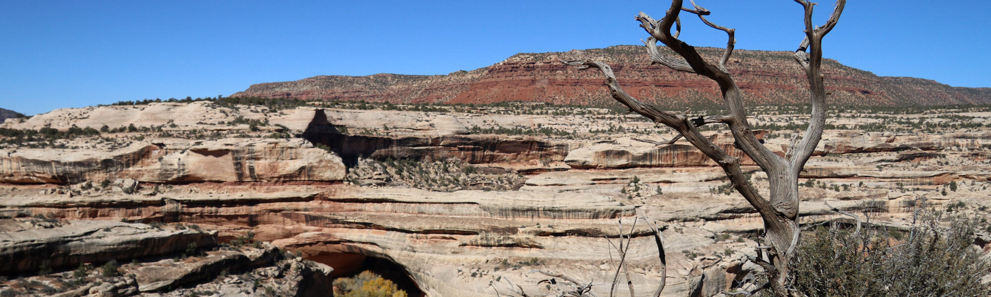 Amerika dag 10 - Natural Bridges National Monument - Kachina Bridge