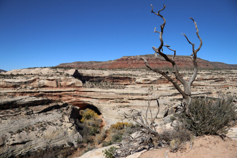 Amerika dag 10 - Natural Bridges National Monument - Kachina Bridge