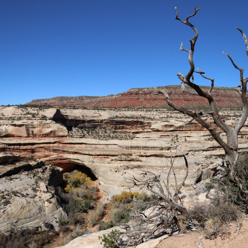 Amerika dag 10 - Natural Bridges National Monument - Kachina Bridge