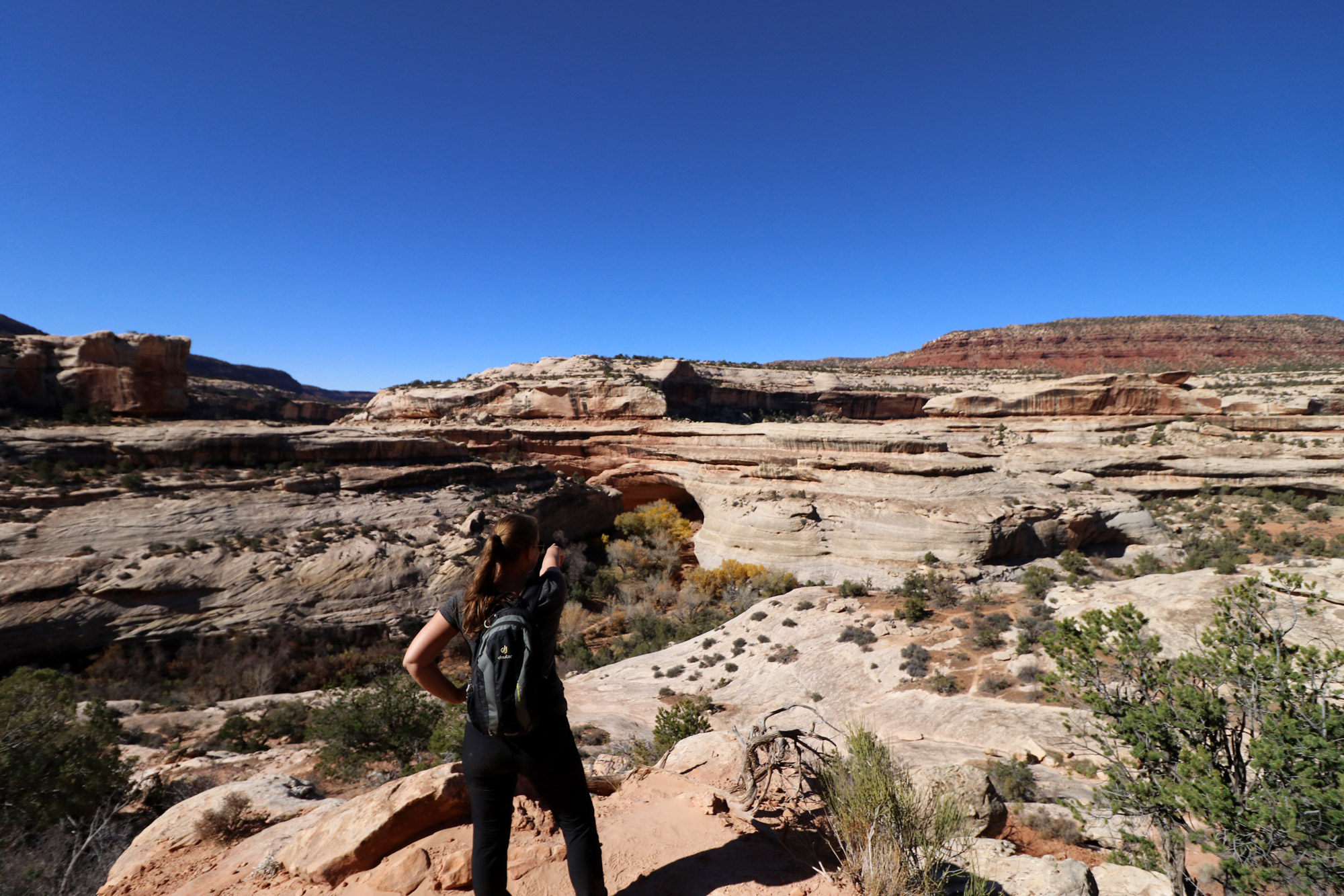 Amerika dag 10 - Natural Bridges National Monument - Kachina Bridge