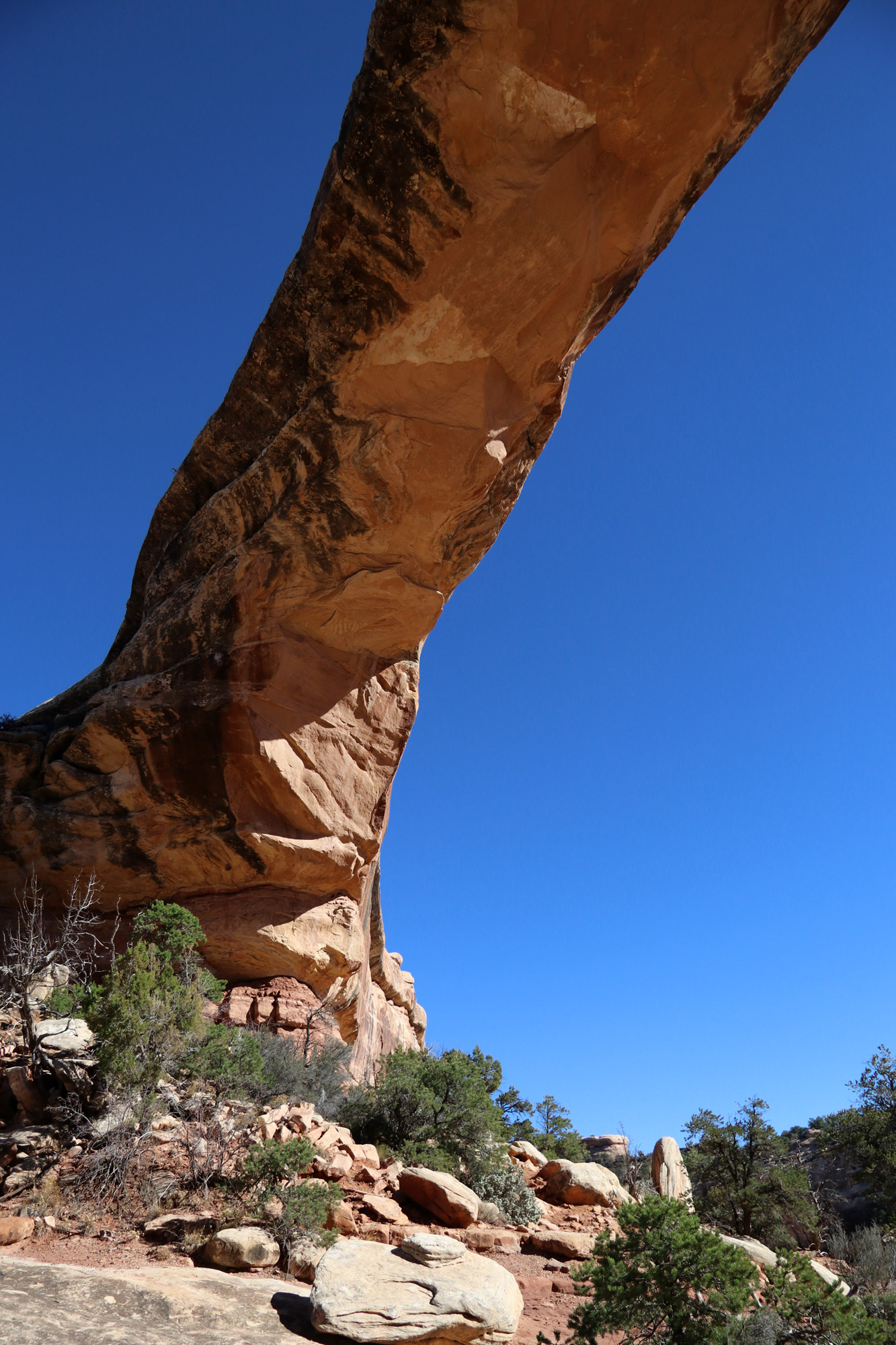 Amerika dag 10 - Natural Bridges National Monument - Owachomo Bridge