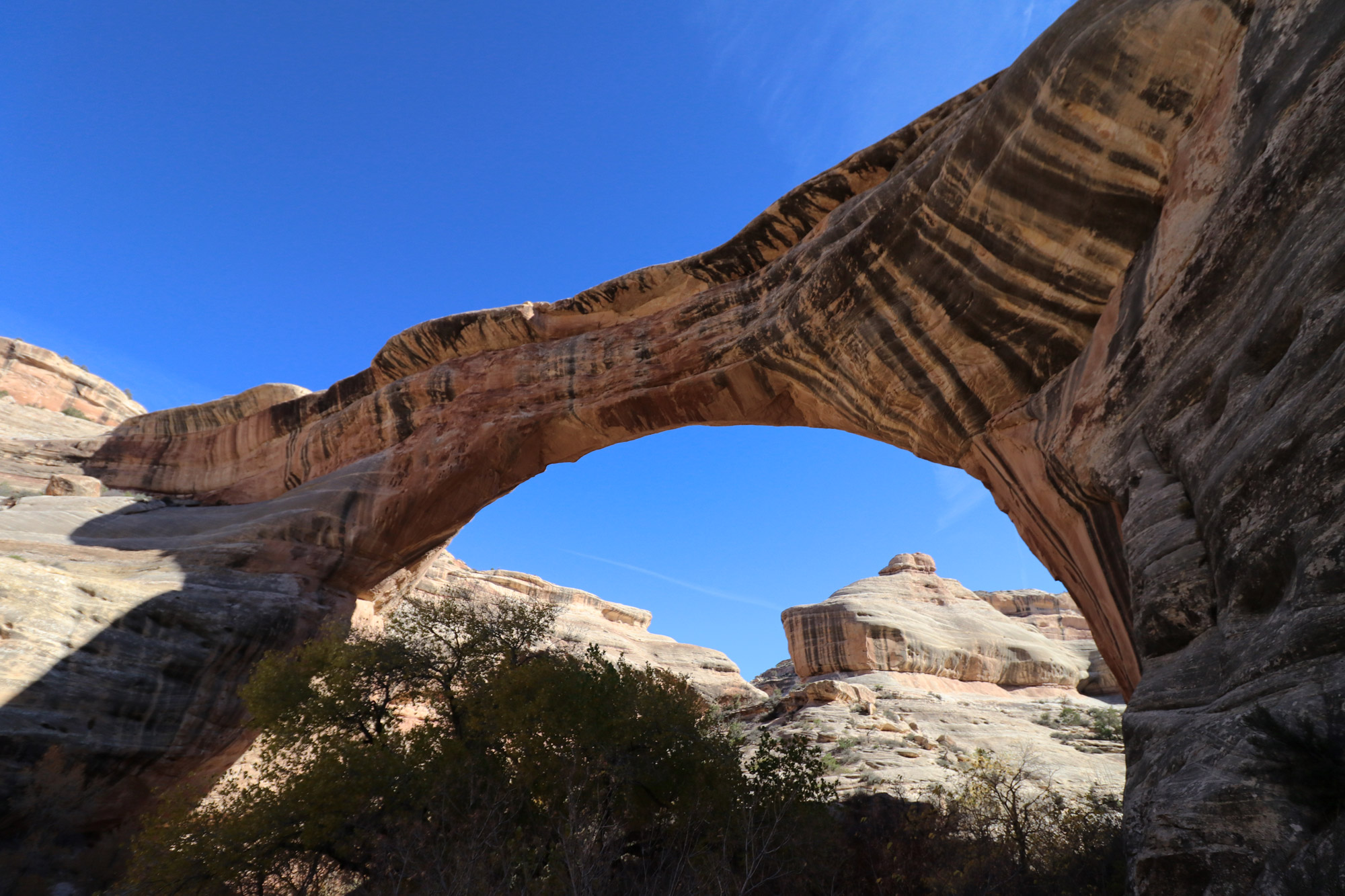 Amerika dag 10 - Natural Bridges National Monument - Sipapu Bridge