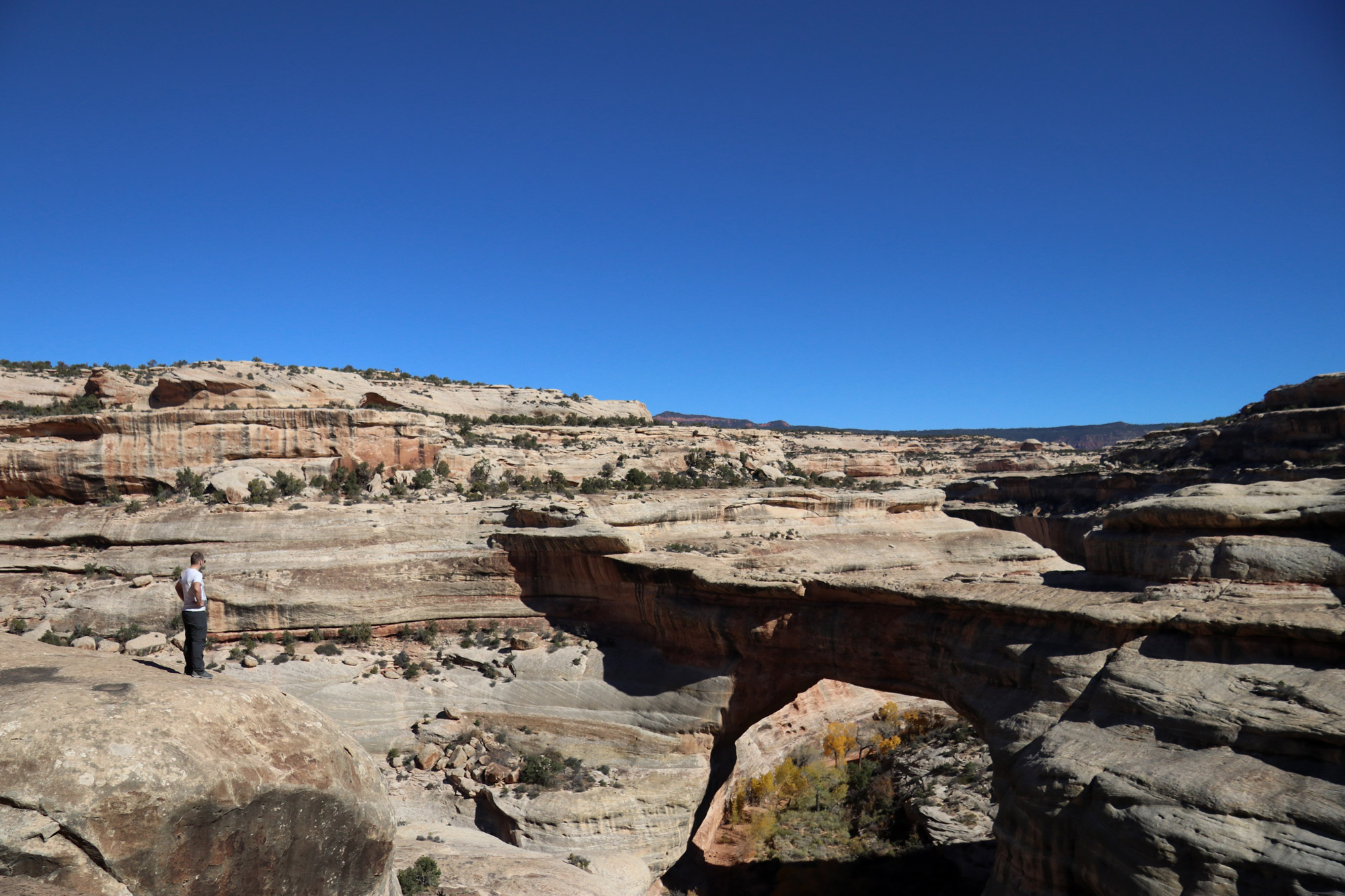 Amerika dag 10 - Natural Bridges National Monument - Sipapu Bridge