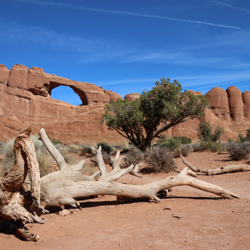 Amerika dag 9 - Arches National Park - Skyline Arch