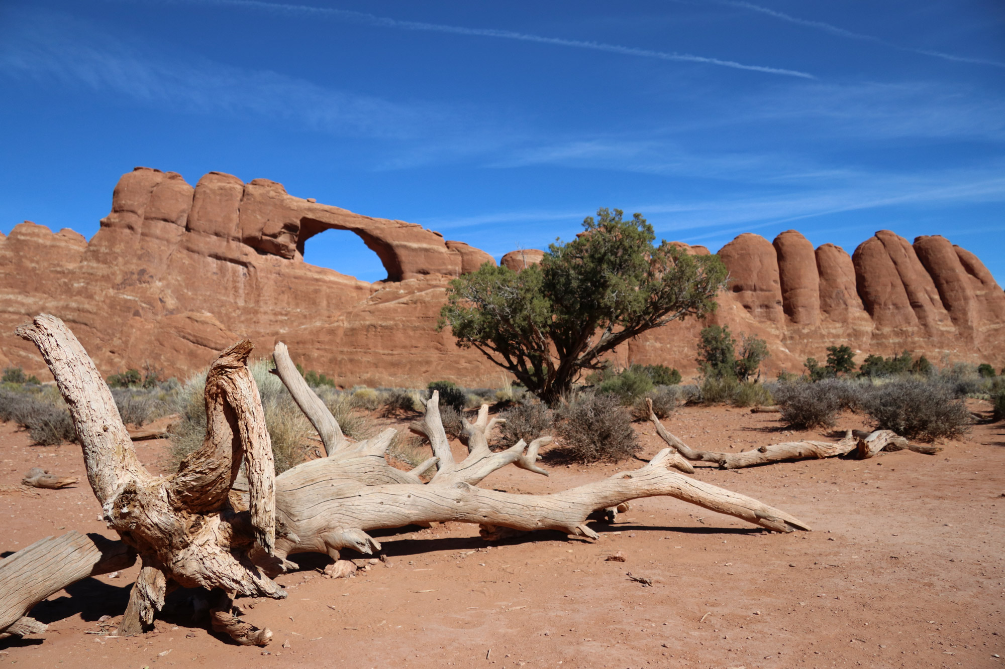 Amerika dag 9 - Arches National Park - Skyline Arch