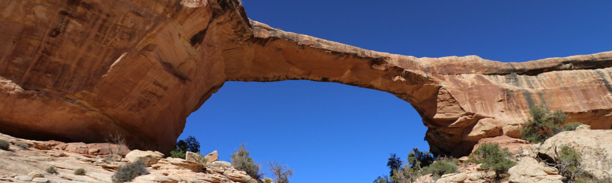 Natural Bridges National Monument