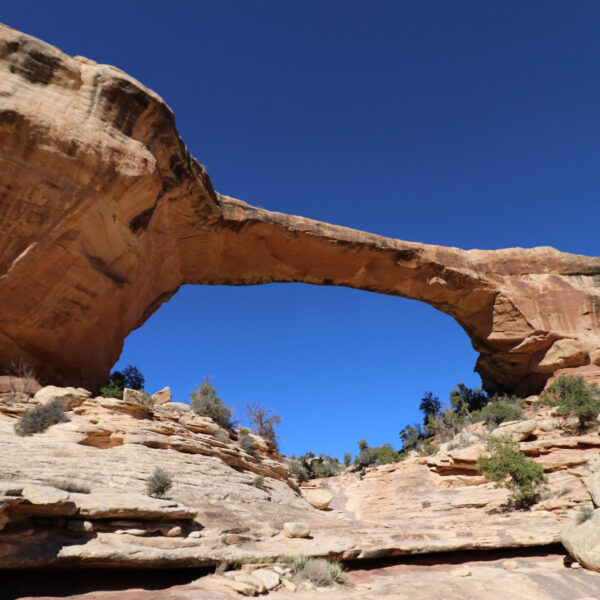 Natural Bridges National Monument